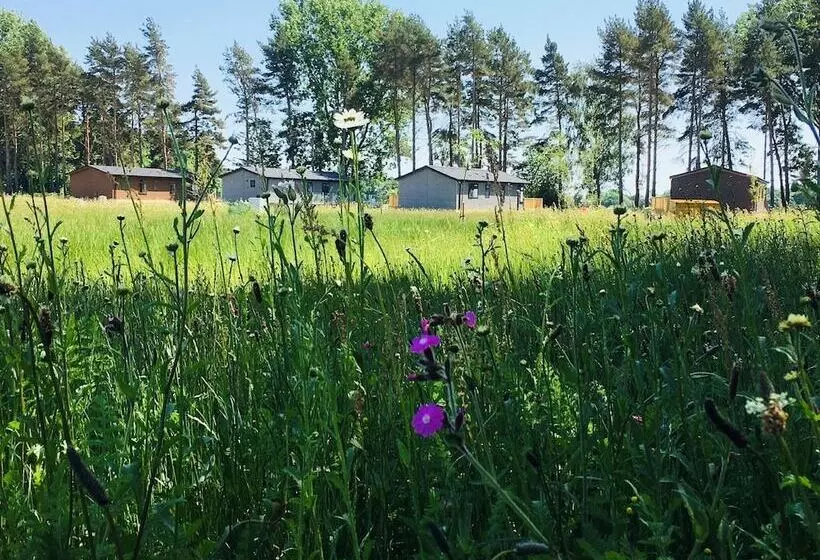 Lomakeskus Hollicarrs   Wildflower Lodge