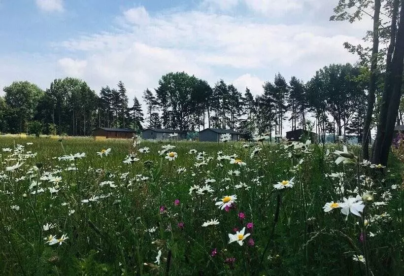 Lomakeskus Hollicarrs   Wildflower Lodge