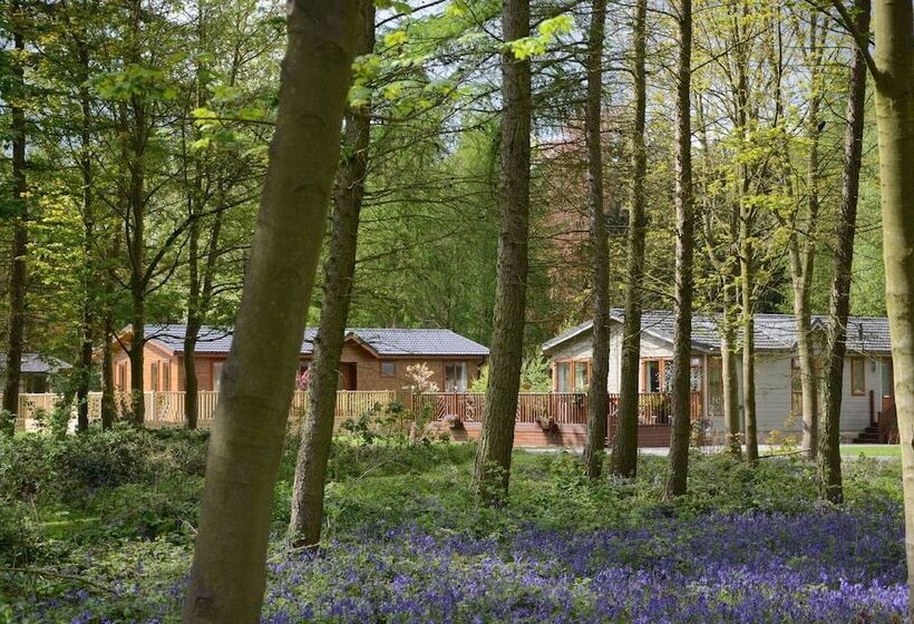 渡假胜地 Hollicarrs Wildflower Lodge