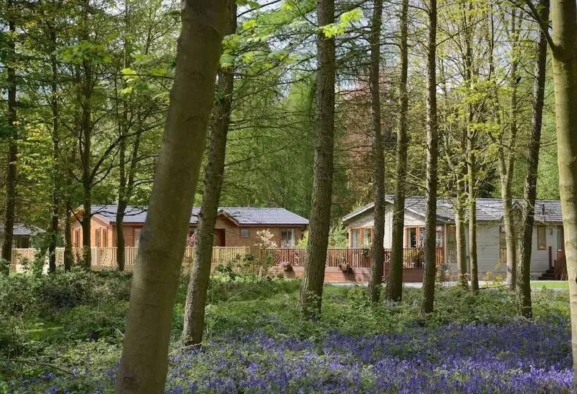 Lomakeskus Hollicarrs   Wildflower Lodge