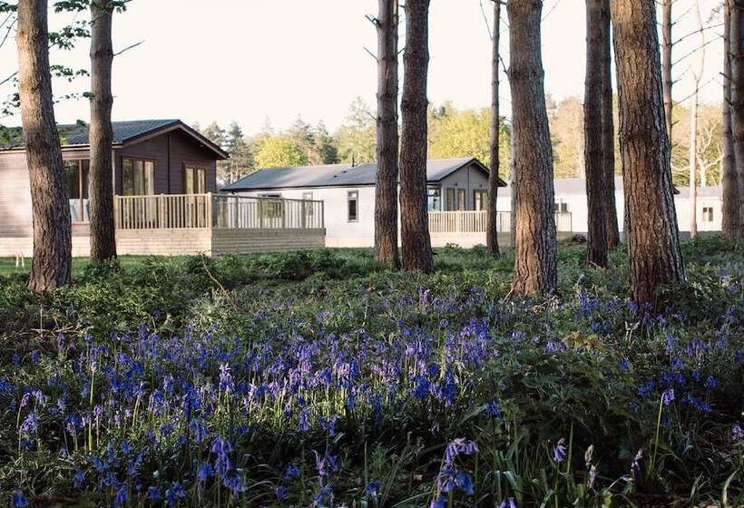 リゾートホテル Hollicarrs   Wildflower Lodge