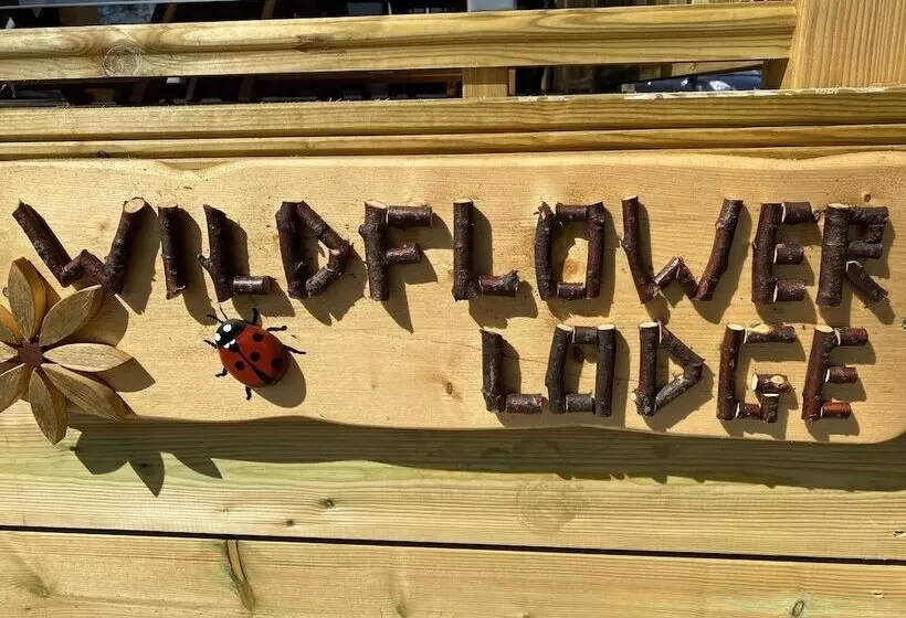 Lomakeskus Hollicarrs   Wildflower Lodge