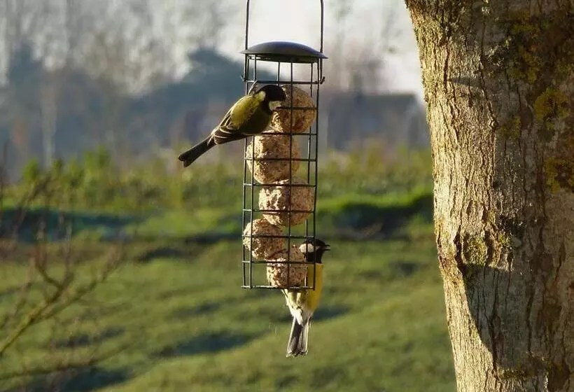 ベッドアンドブレックファースト Le Logis De La Chouette