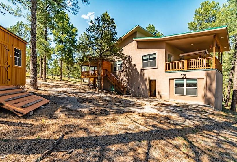 Cozy Knotty And Nice