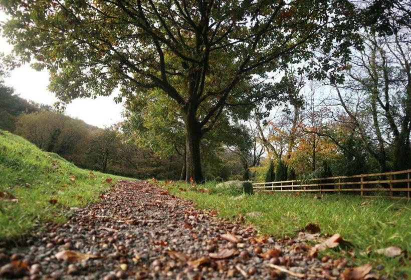 Otel Afan Lodge