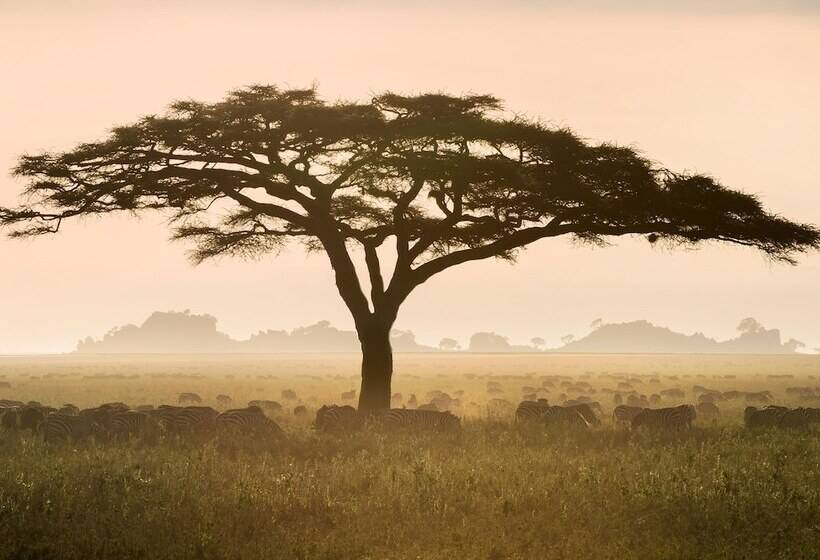 هتل One Nature Nyaruswiga Serengeti