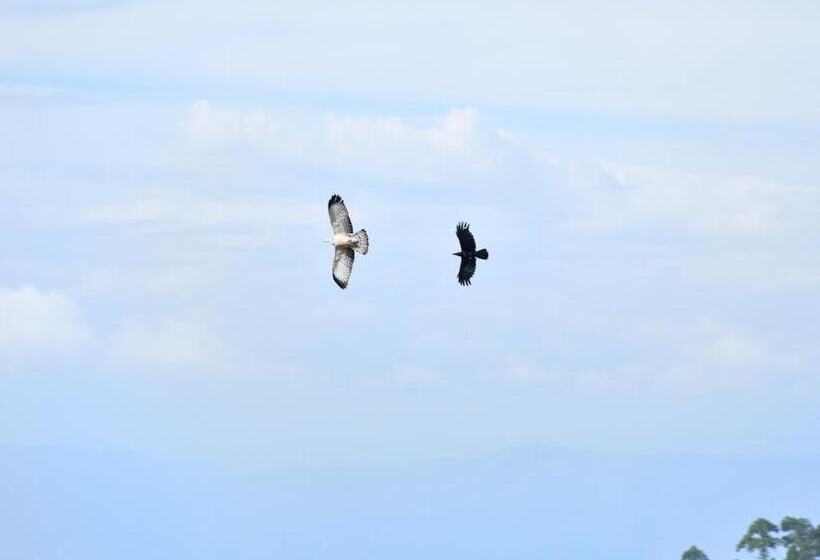 膳宿费 Kys Buona Vista