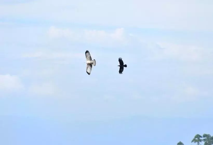 ペンション Kys Buona Vista