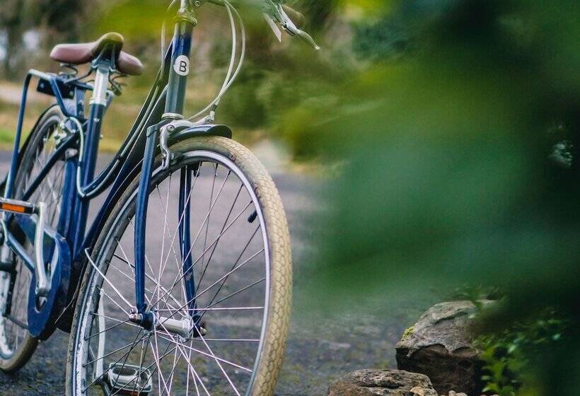 אתר נופש Elements Lodges