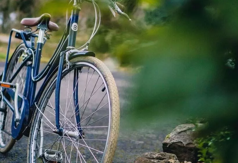 Lomakeskus Elements Lodges