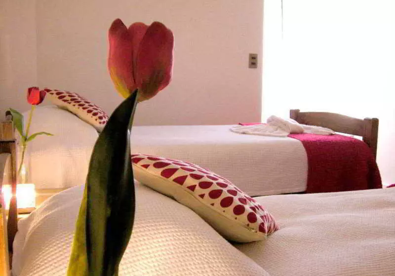تختخواب و صبحانه Bed&Breakfast Casa Del Sol