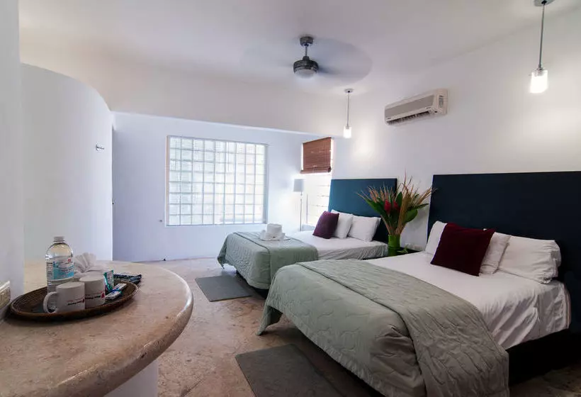 Blue Parrot Fifth Avenue