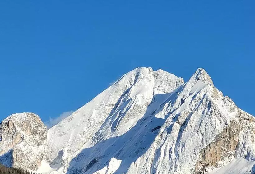 酒店 Garni B&b Mozart Nesthouse