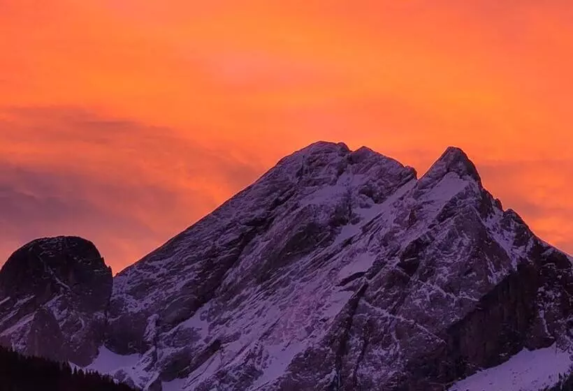 酒店 Garni B&b Mozart Nesthouse