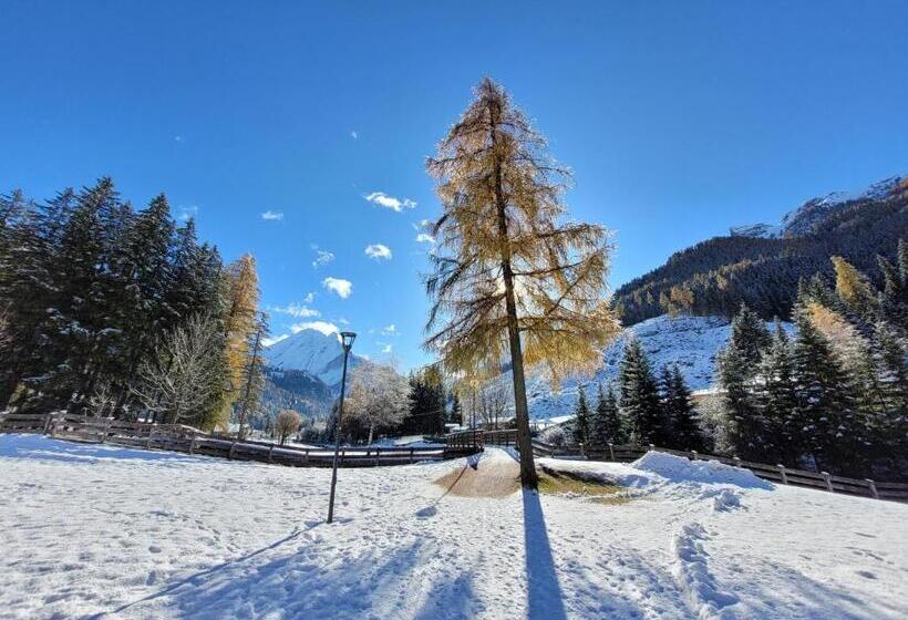 فندق Garni B&b Mozart Nesthouse