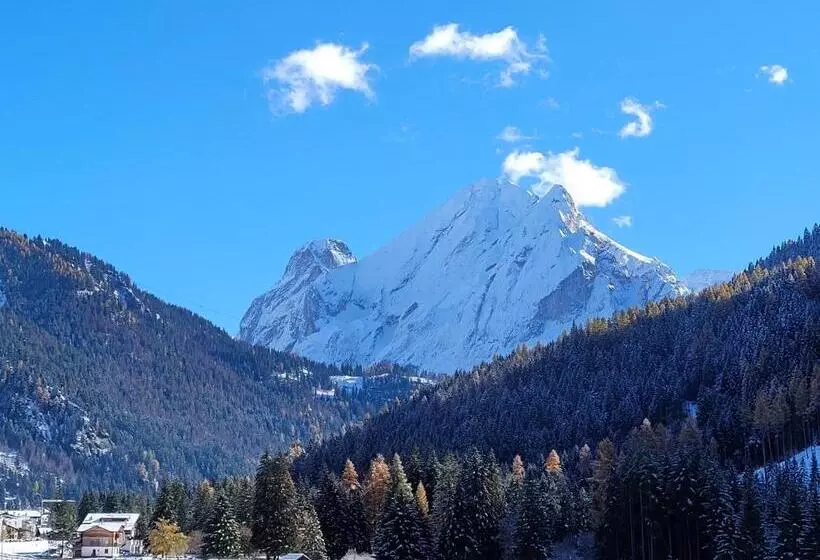 酒店 Garni B&b Mozart Nesthouse