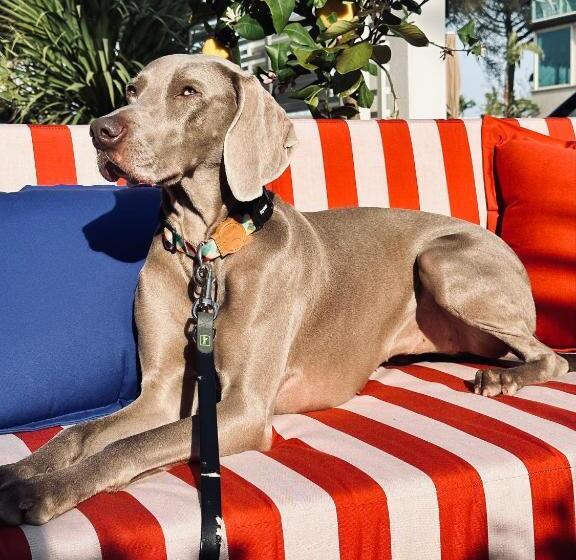 호텔 Marittimo Milano Marittima