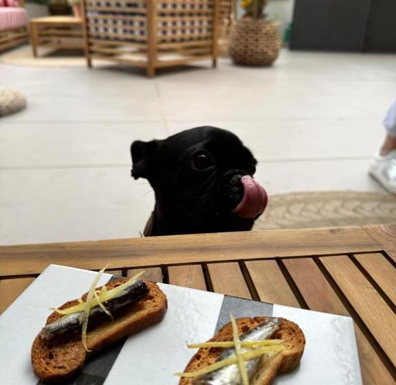 호텔 Marittimo Milano Marittima