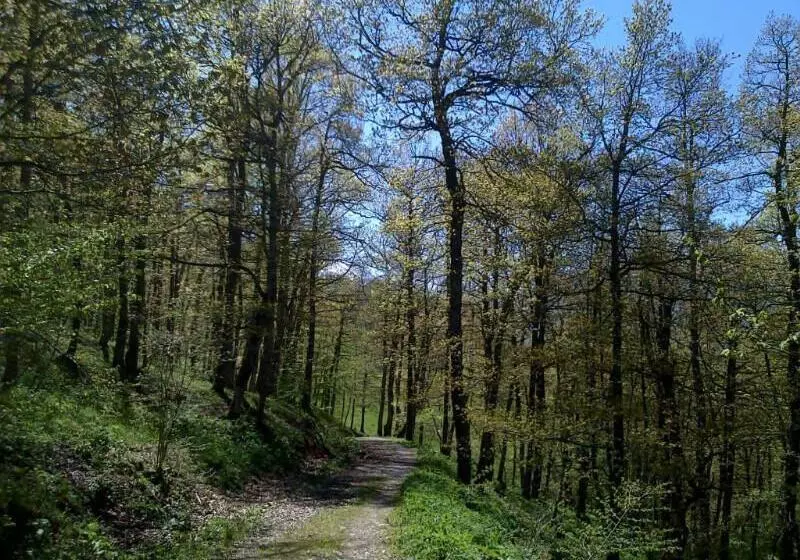 هتل روستایی Rural Peña Castil