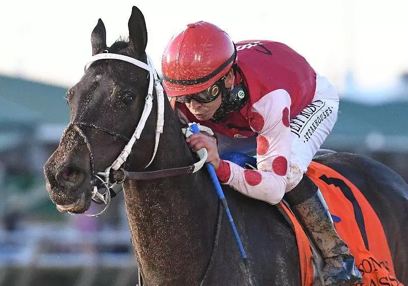 Hotel Staybridge Suites Houston Willowbrook, An Ihg