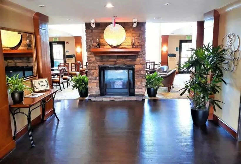 Hotel Staybridge Suites Houston Willowbrook, An Ihg