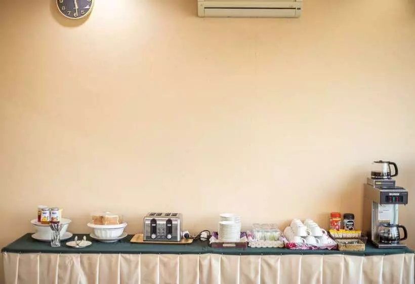 Отель The Palm Garden