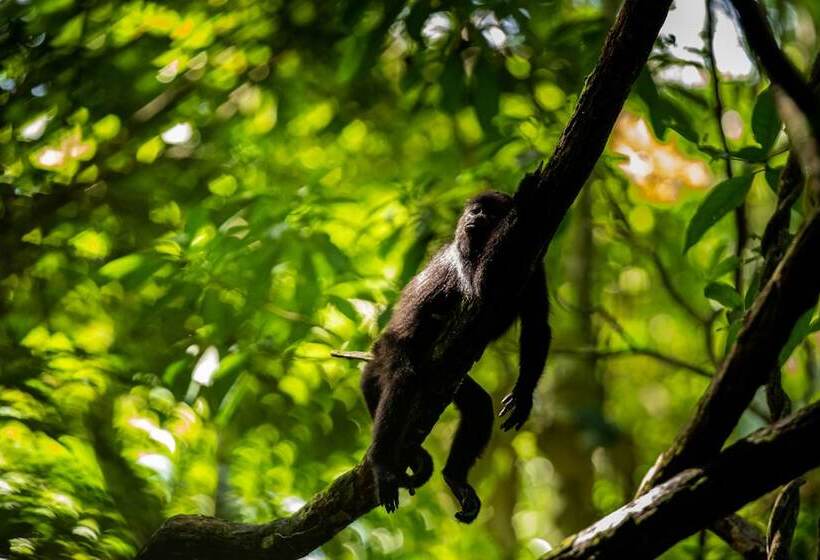 호텔 Villa Mercedes Palenque