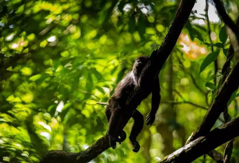 هتل Villa Mercedes Palenque