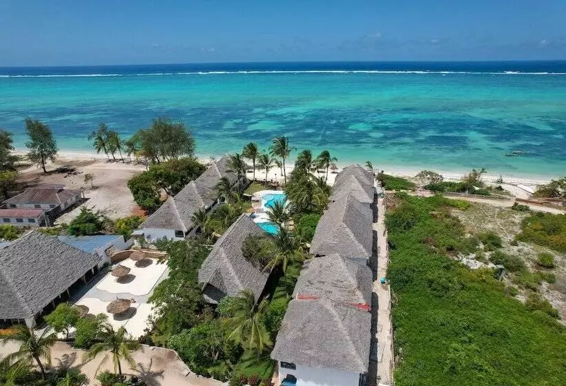 渡假胜地 Nest Style Beach Hotel Zanzibar