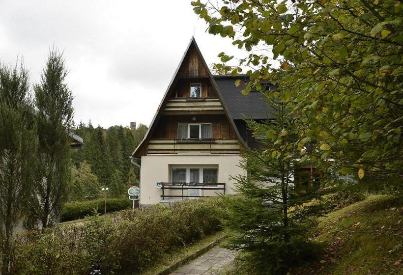 Pensionat Penzion Svojanov