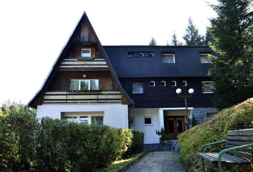 Pensionat Penzion Svojanov