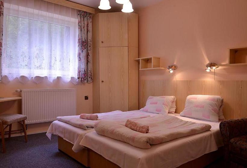 Pensionat Penzion Svojanov