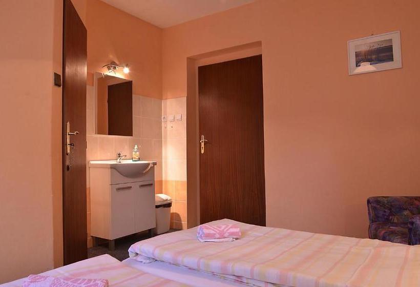 Pensionat Penzion Svojanov