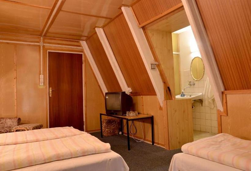 Pensionat Penzion Svojanov