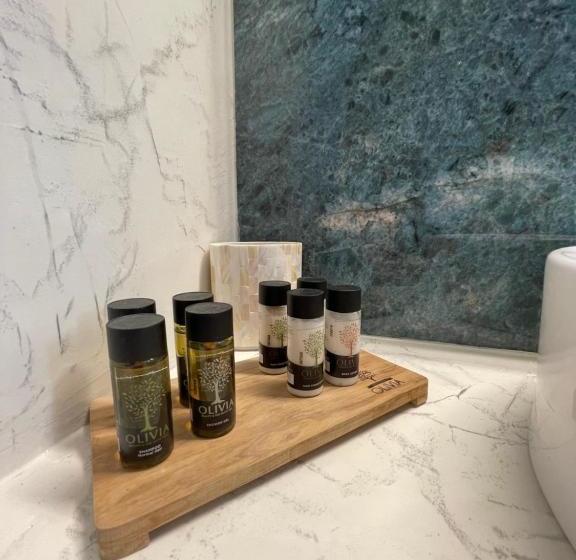 膳宿费 Schinoza Luxury Suites