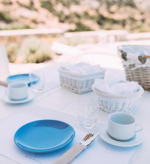 膳宿费 Schinoza Luxury Suites