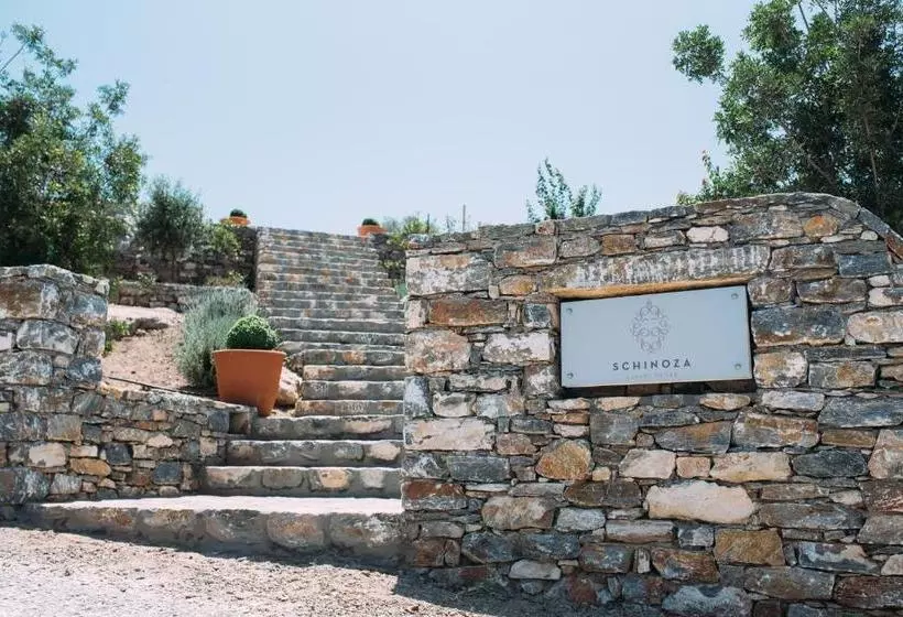 Majatalo Schinoza Luxury Suites