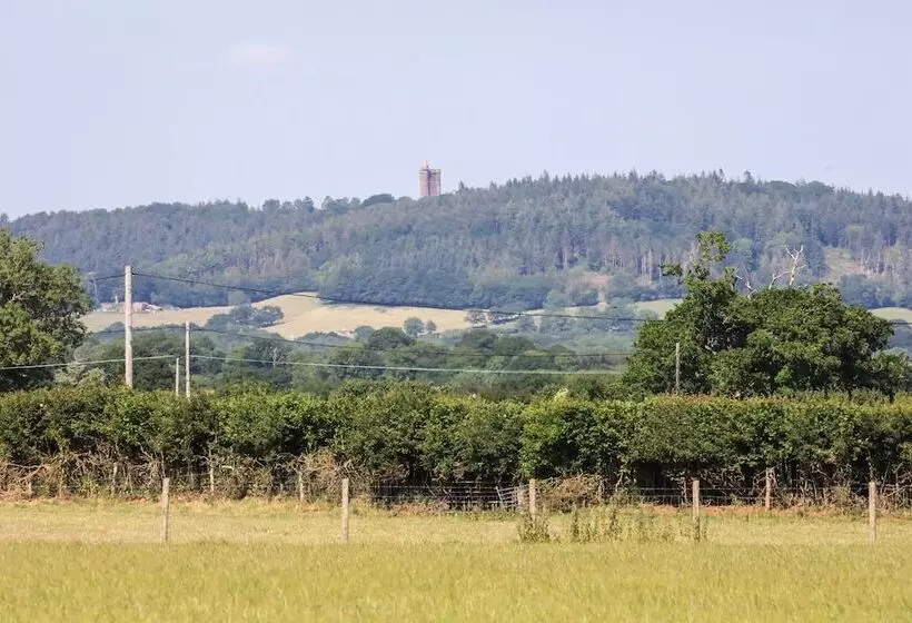 Charming Shepherds Hut With Wood Fired Hot Tub