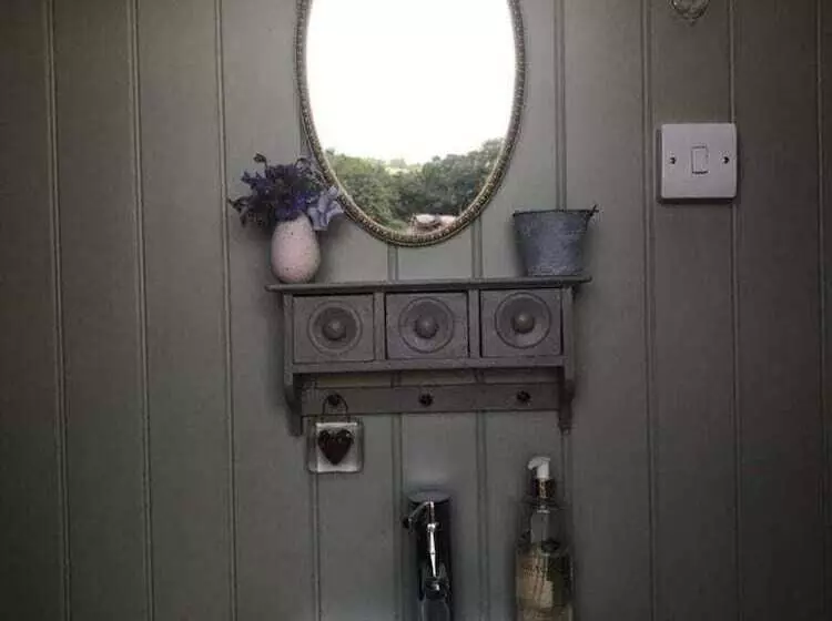 Charming Shepherds Hut With Wood Fired Hot Tub