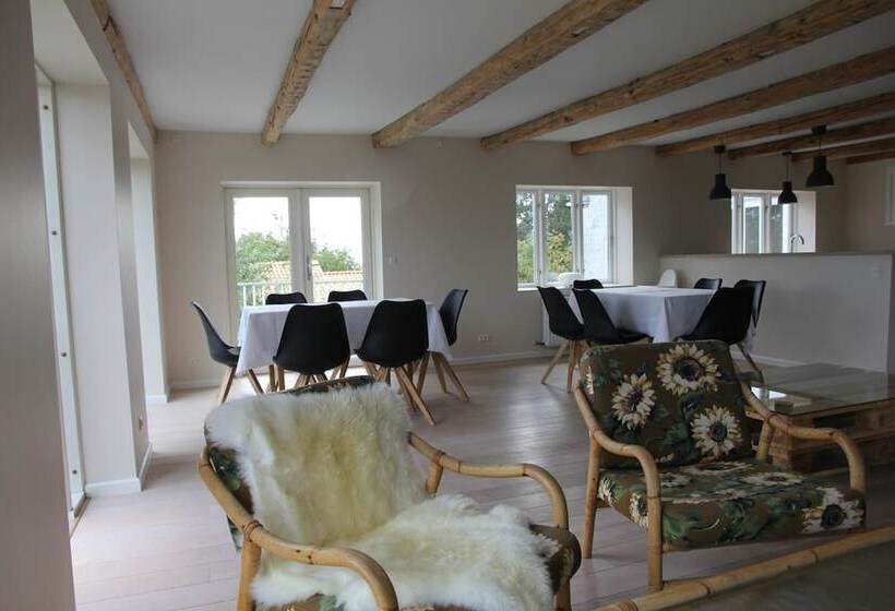 مبيت وإفطار Stevns Klint Strandpension