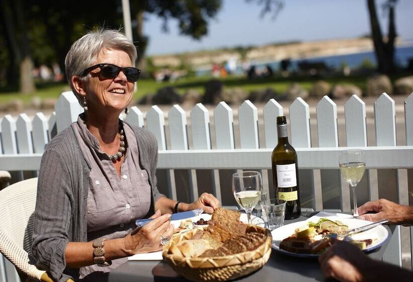 مبيت وإفطار Stevns Klint Strandpension