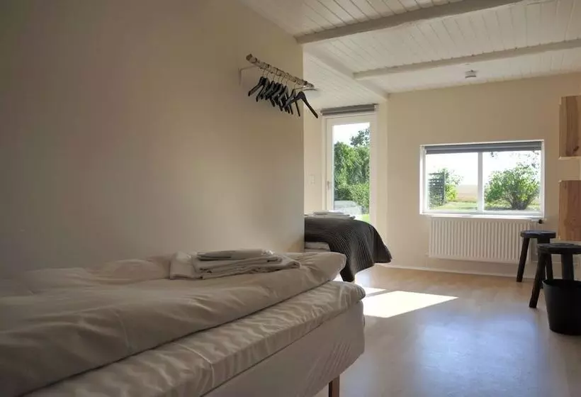 Aamiaismajoitus (B&B) Stevns Klint Strandpension