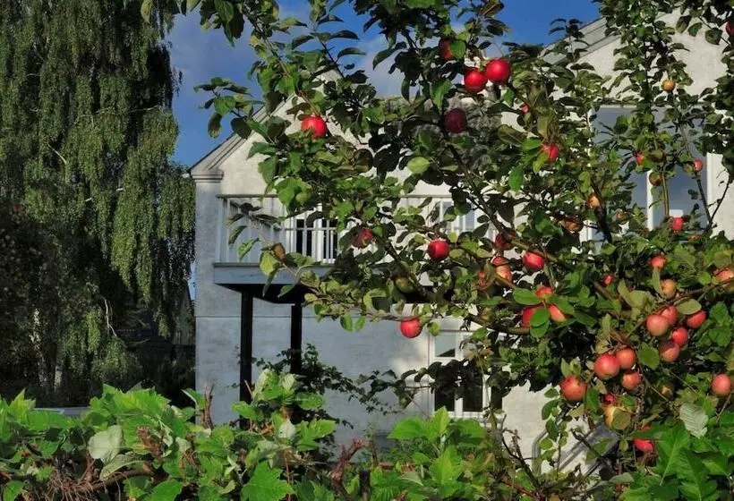 Aamiaismajoitus (B&B) Stevns Klint Strandpension