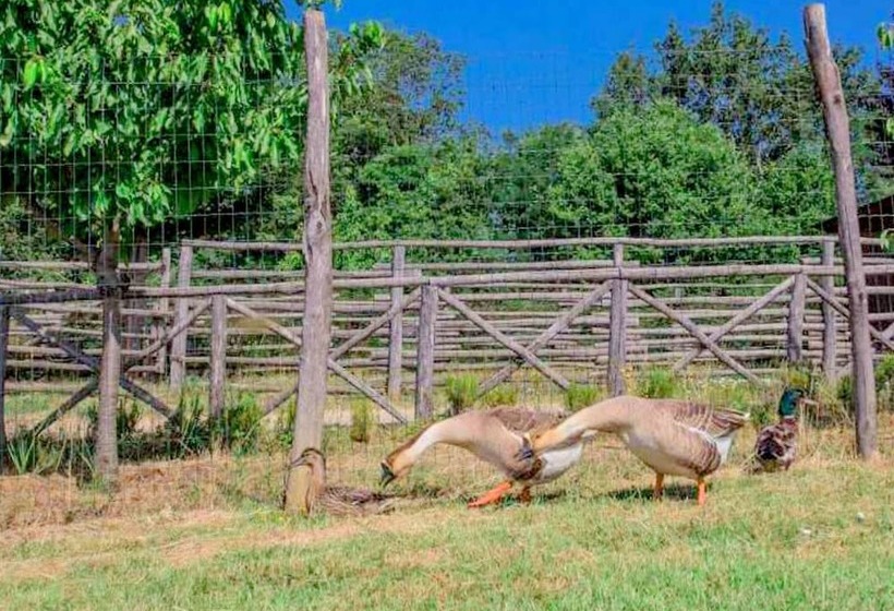 Cottage In Terranuova Bracciolini
