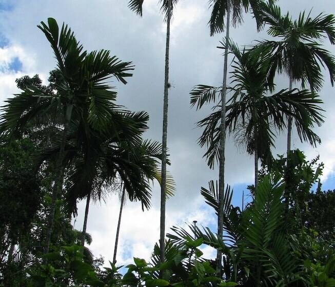 هتل Pulse Suites At Villa Ronai