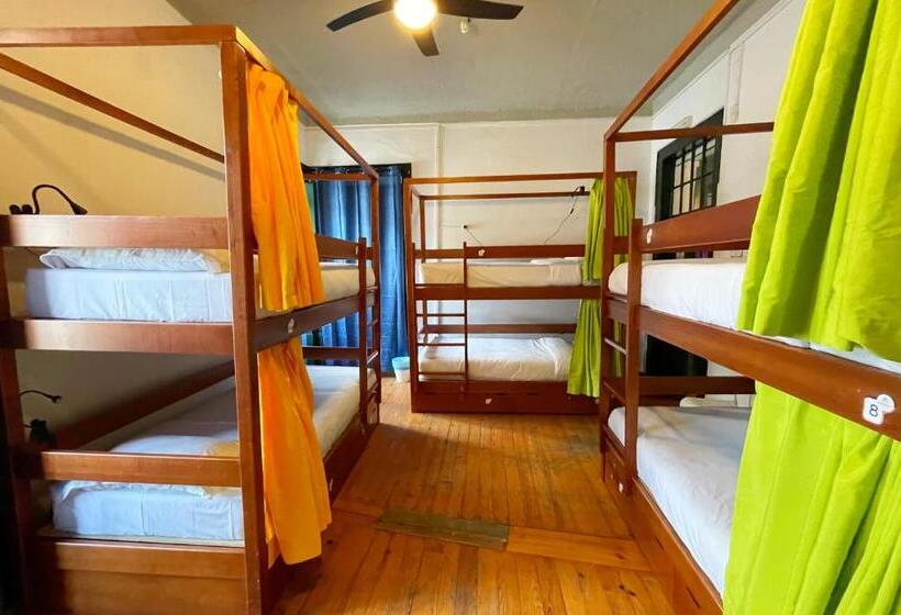 هتل Algarve Hostel