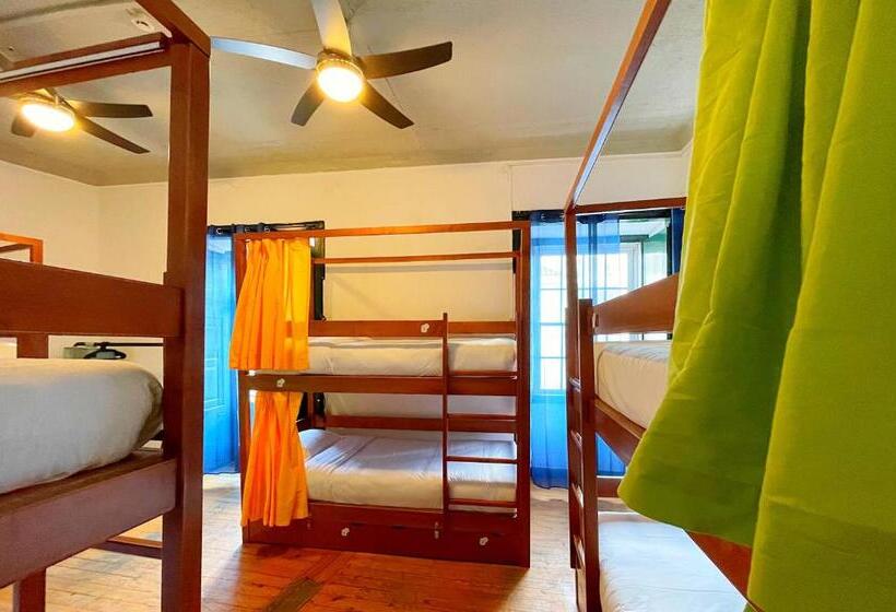 هتل Algarve Hostel