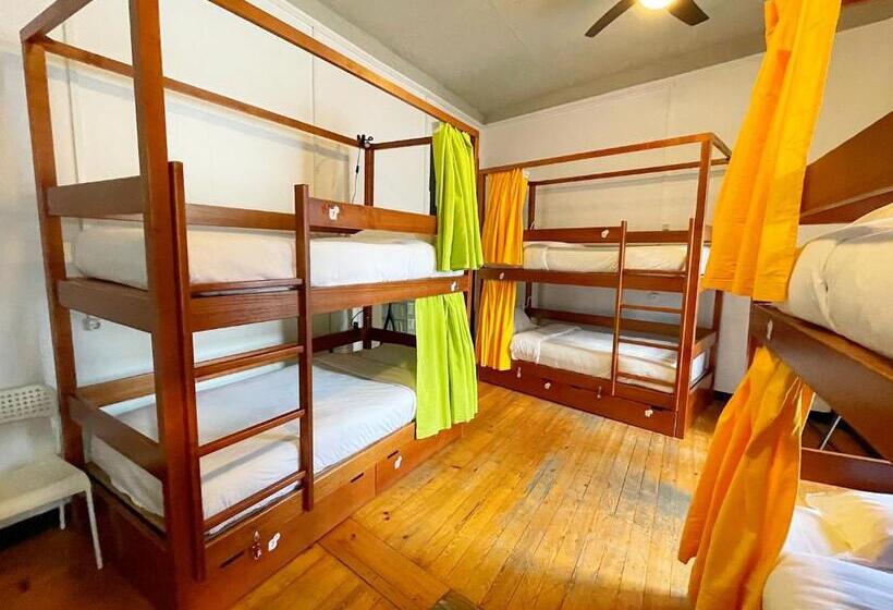 هتل Algarve Hostel