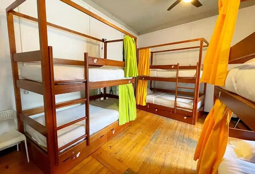 هتل Algarve Hostel