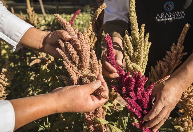 Aranwa Sacred Valley Hotel & Wellness